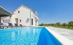 Villa Tonka With Private Pool Near Krka